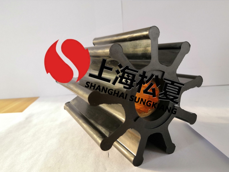 定制橡膠葉輪泵需要注意什么呢？